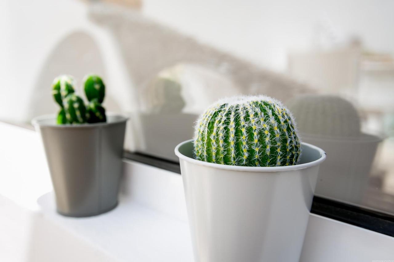 Cactus Apartment サンミゲル・デ・アボナ エクステリア 写真