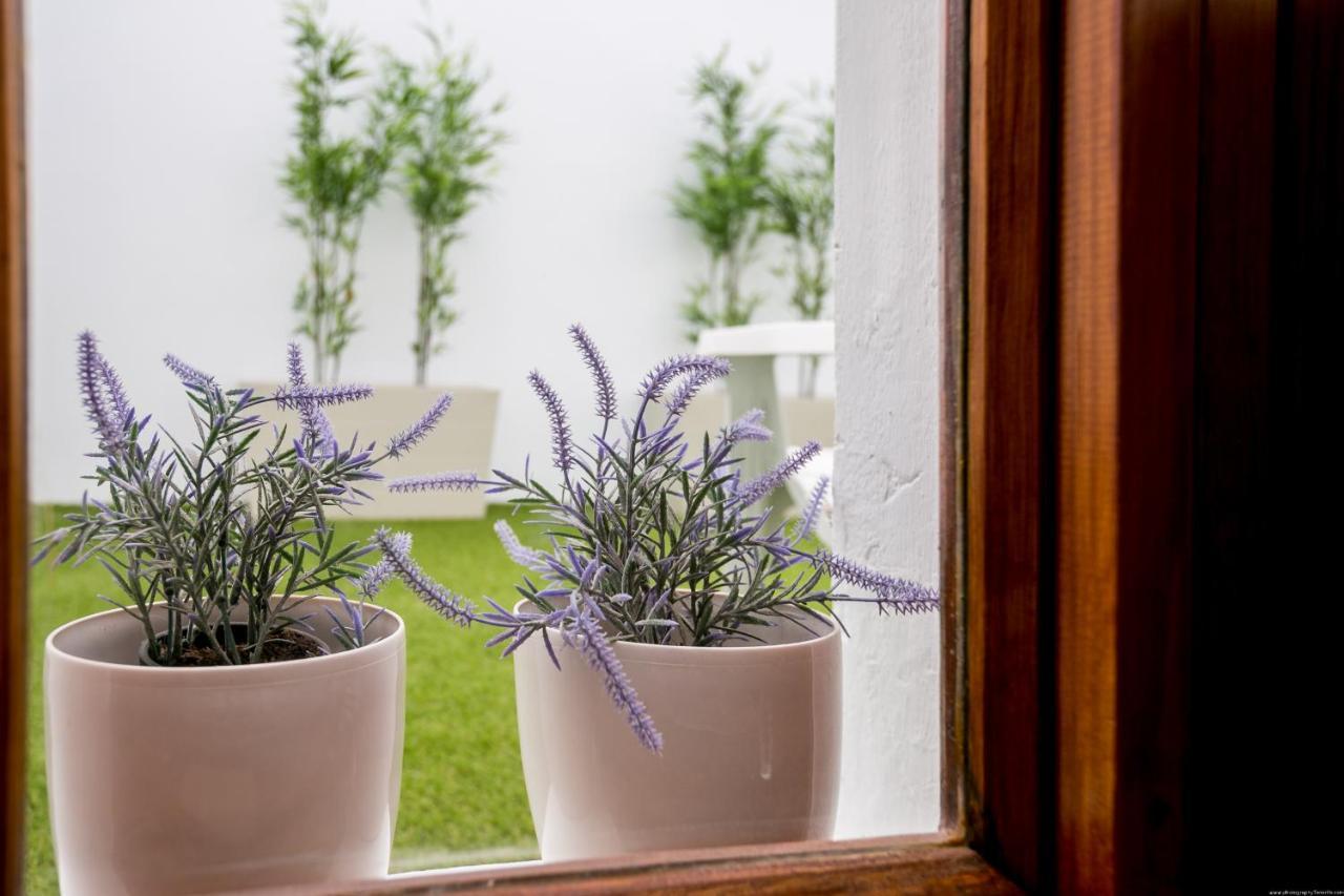 Cactus Apartment サンミゲル・デ・アボナ エクステリア 写真